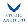 CAF CISAL - STUDIO ANDOLFO Logo