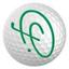 US Hole In One Logo