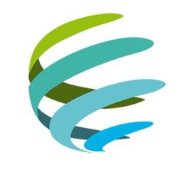 strategy4future Logo