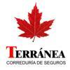 Terránea Correduría de Seguros Logo