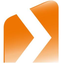 Debitors management Logo