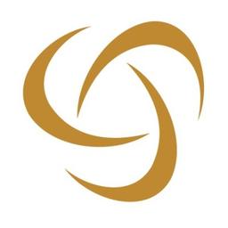 Capital International Group Logo
