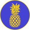 Ananas Media Logo