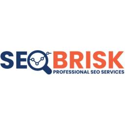 SEO BRISK Logo