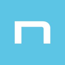 Netmaster (Schweiz) AG Logo