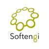 Softengi - Delivers Your Success Logo