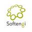 Softengi - Delivers Your Success Logo