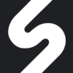 Elasticsoft Logo