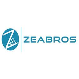 Zeabros India Private Limited Logo