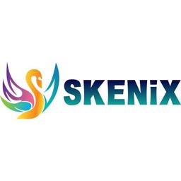 Skenix Infotech Logo
