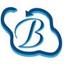 Bhavitra Technologies Private Limited Logo