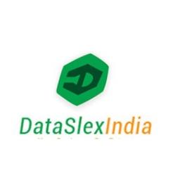 DataSlexIndia | Web Development | App Development | DBA Service | Data Entry | Salesforce Consulting Logo