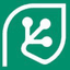 Cash Flow Frog Logo