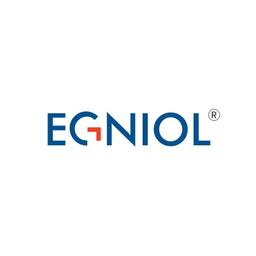 Egniol Services Private Limited Logo