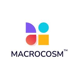 Macrocosm IT Services Logo