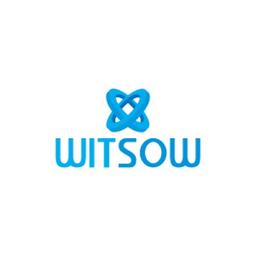 WITSOW Logo