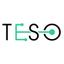 TESO Logo