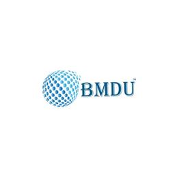 BM Digital Utilization Logo