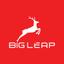BigLeap Logo