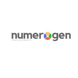 Numerogen Solutions Logo
