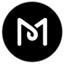 MS Web Designer Logo
