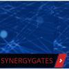 SYNERGY GATES Logo