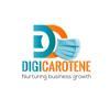 Digi Carotene - The Digital Marketing Agency Logo