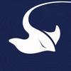 Stingray Branding Logo