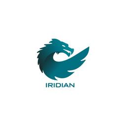 Iridian Logo