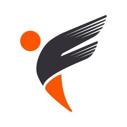 Flexion Infotech Pvt Ltd Logo