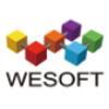 We Software Limited Logo