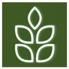 NN Hedges Logo
