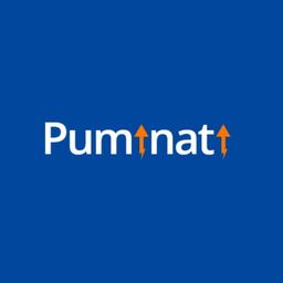 Puminati Digital Logo
