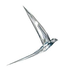 SKY DREAMERS CLUB Logo