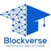 Blockverse Infotech Solutions Logo
