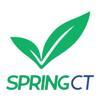 SpringCT (Spring Computing Technologies) Logo
