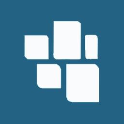 TechWizer IT Solutions Logo