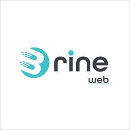 Brine Web Logo