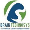Brain Technosys Pvt. Ltd. Logo