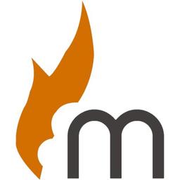 Mandasa Technologies Pvt Ltd - Shopify Experts Logo