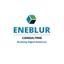 Eneblur Consulting Logo