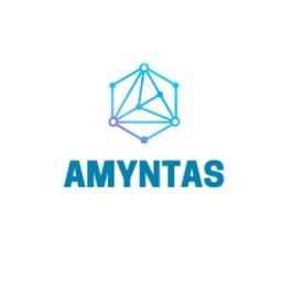 Amyntas Media Works Logo
