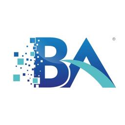 Bridging Associates Private Limited. Logo