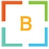 Binayasha Technologies Logo