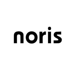 noris MIKE Logo