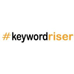 KeywordRiser - Digital Marketing Agency - Digital Marketing Consultant - Web design Agency Logo