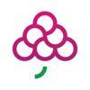 GrapesTech Solutions Pvt. Ltd. Logo
