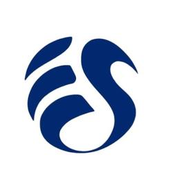 Esoftware Logo