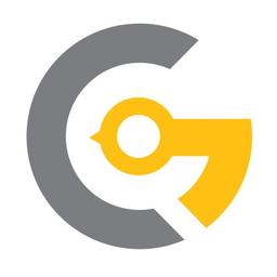 Goldenmace IT Solutions Logo