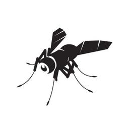 BlackFly TTL Logo